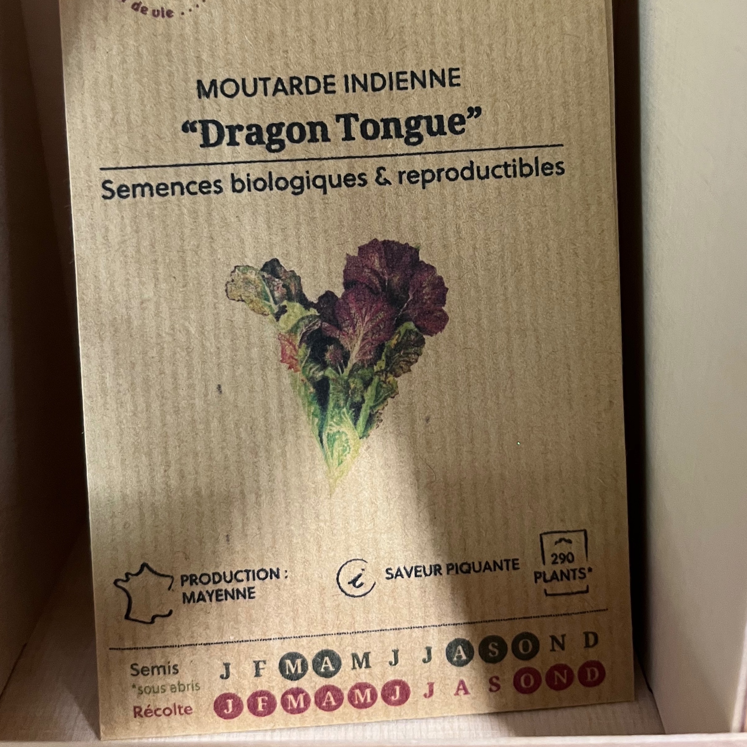Moutarde "Dragon Tongue"