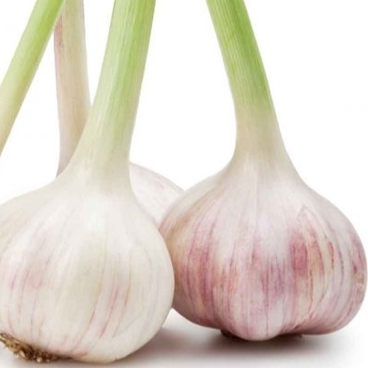 Ail frais - Botte - 0,125kg