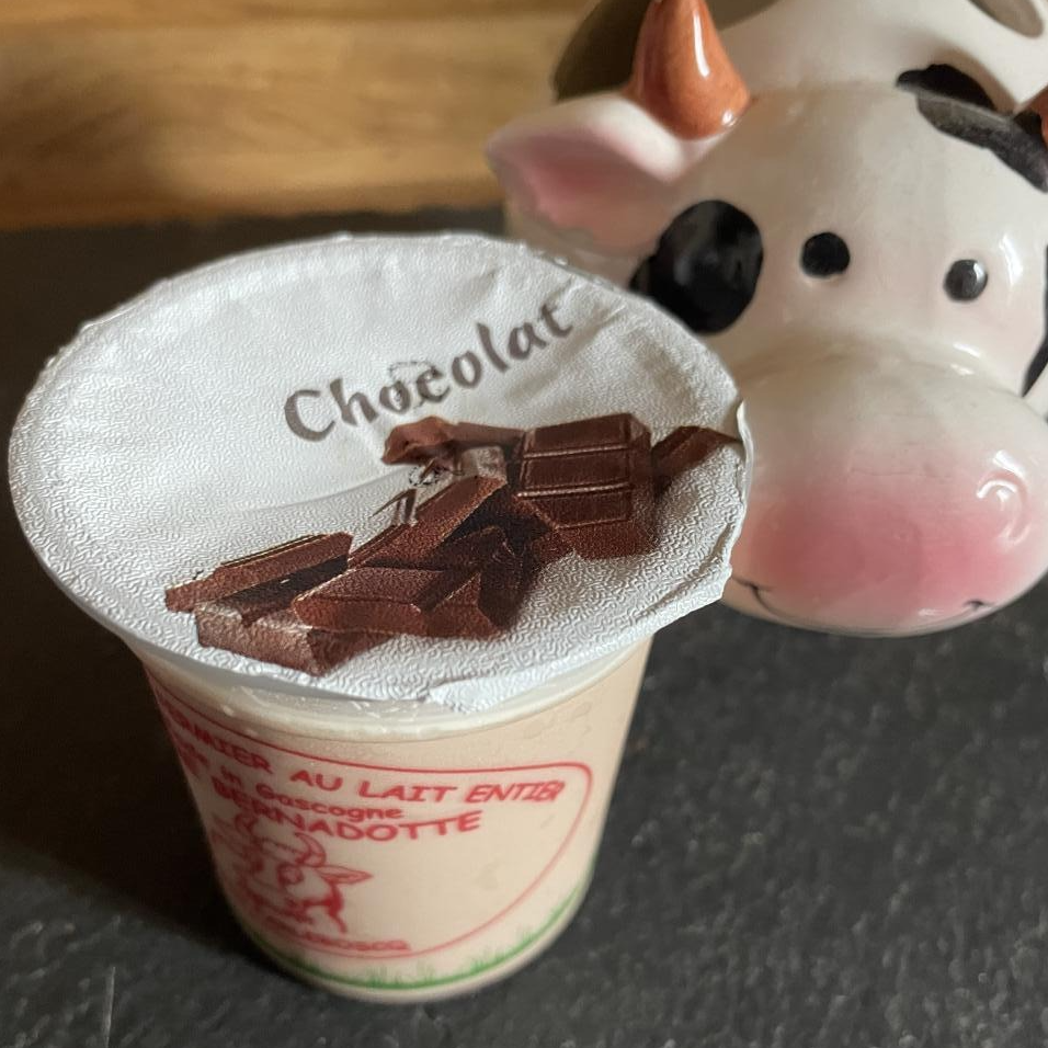 YAOURT AROMATISE CHOCOLAT - 12cl