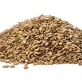 petit épeautre décortiqué - de la Tesso