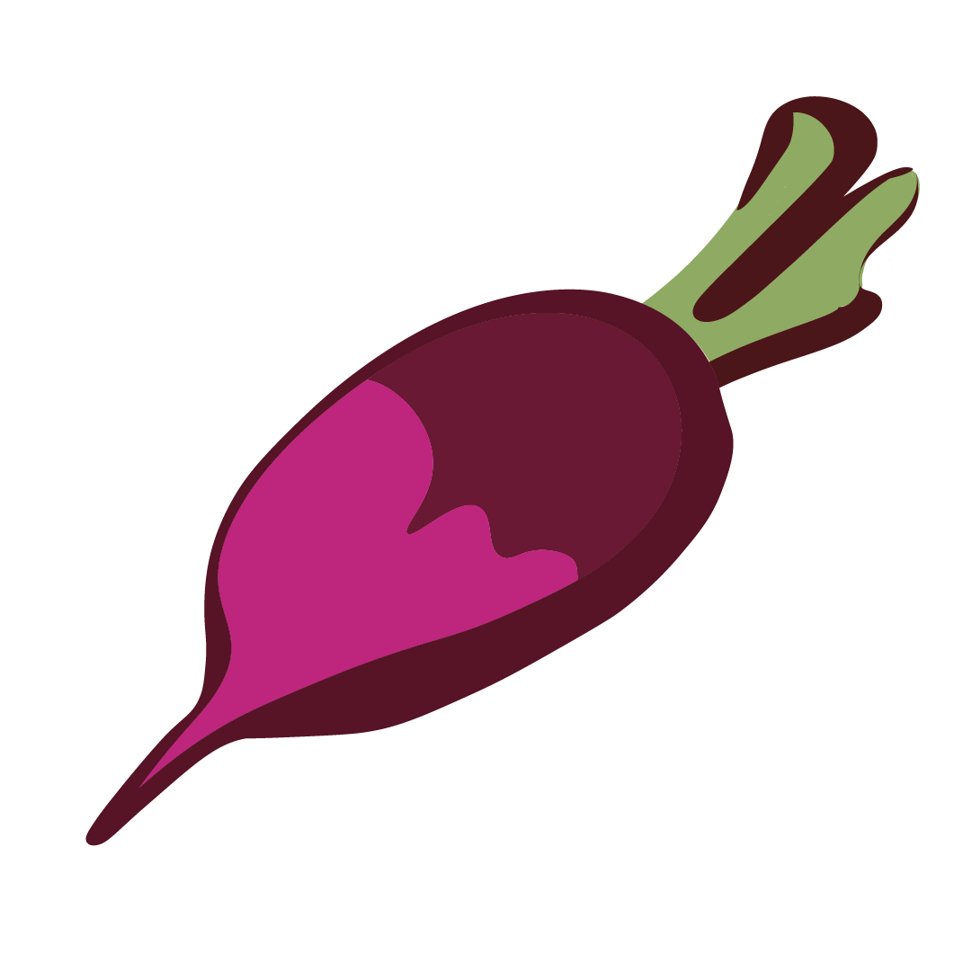 Radis d'hivers rouge à chair rouge