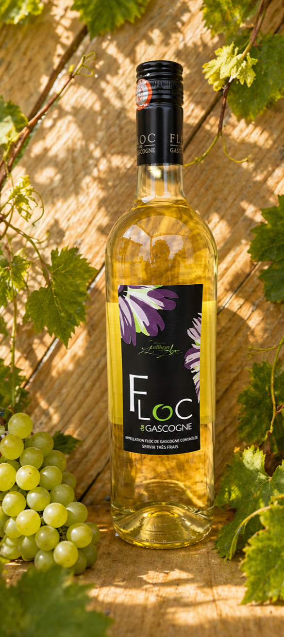 FLOC DE GASCOGNE BLANC - 75cl
