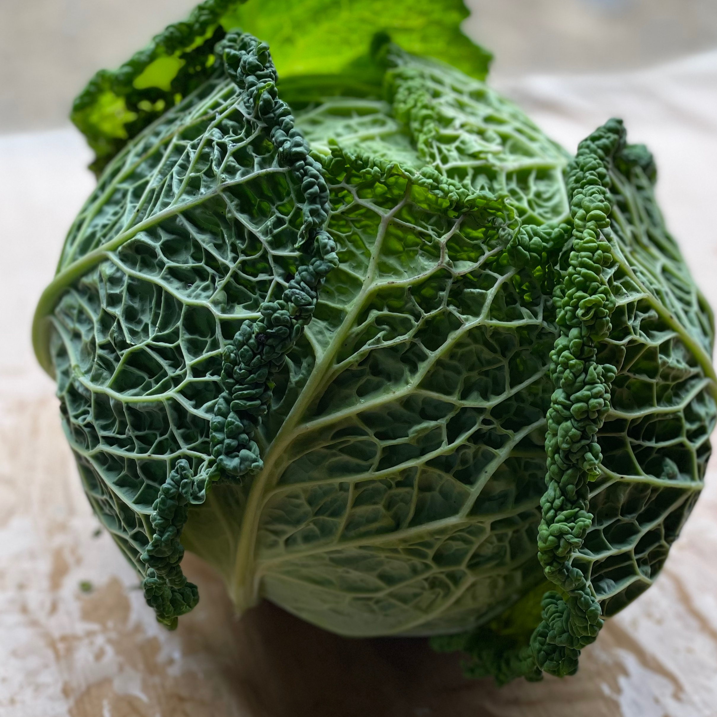 Chou vert frisé 0,5kg - 500g