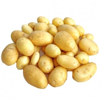 Pommes de terre