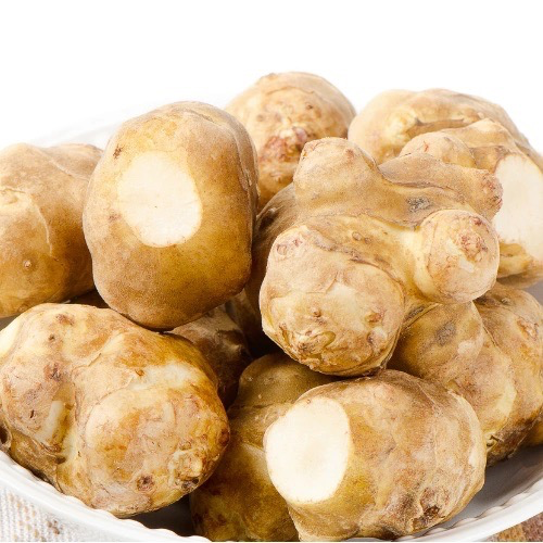 TOPINAMBOUR VIOLET DE RENNES Bio