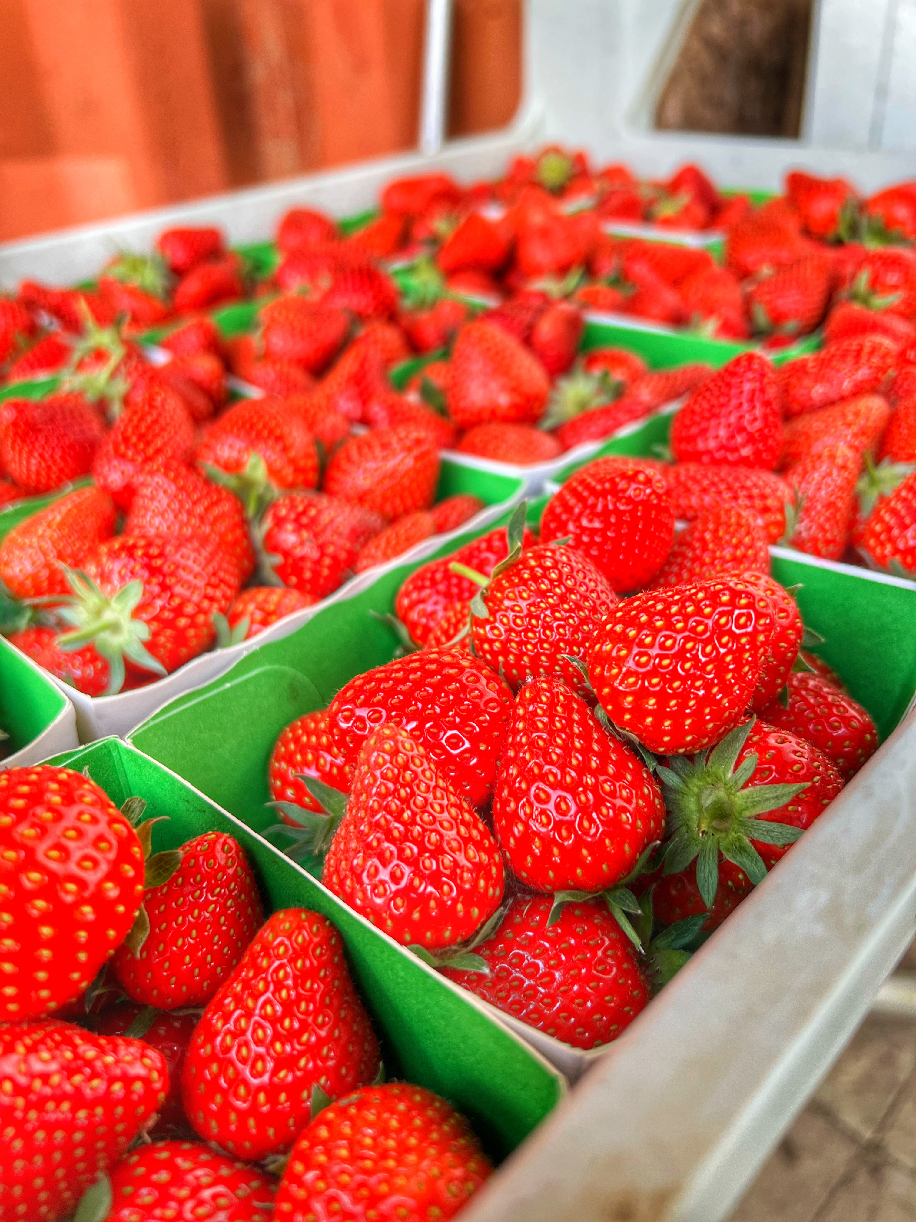Fraises - 0,25kg