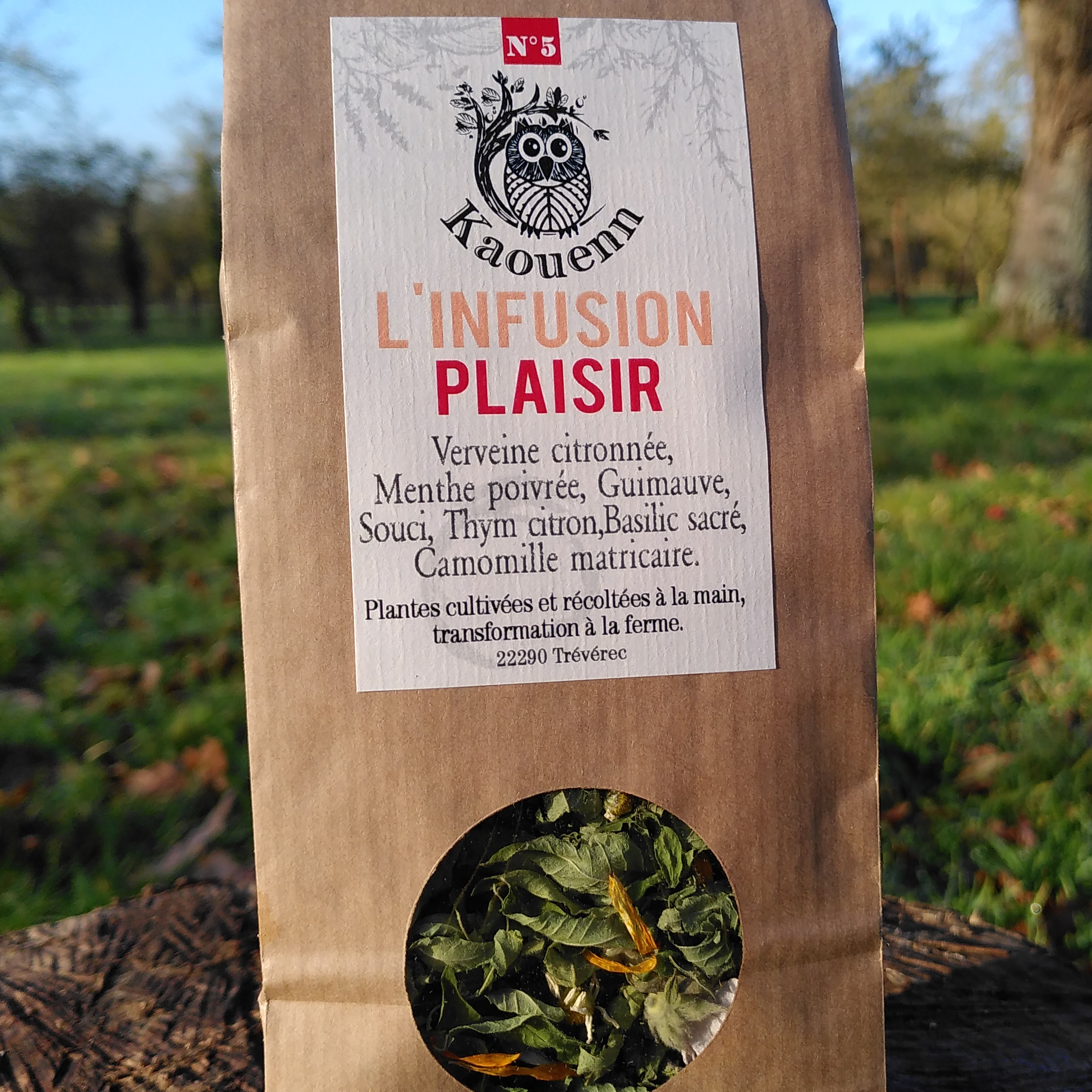 INFUSION PLAISIR - 25g