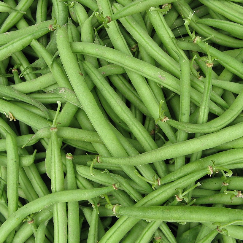 Haricots verts