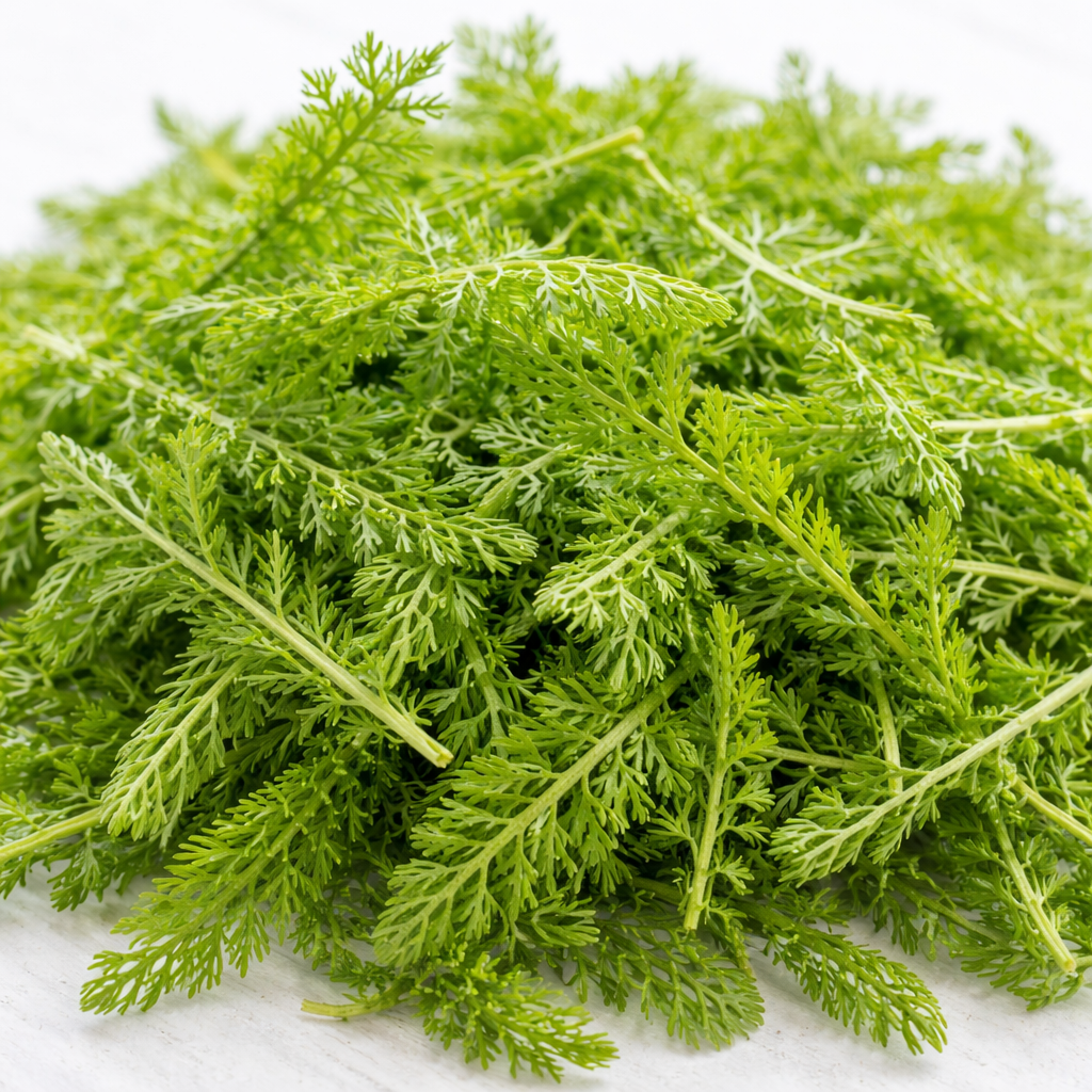 Jeunes feuilles d’Achillée millefeuille — Incomparable - 50g