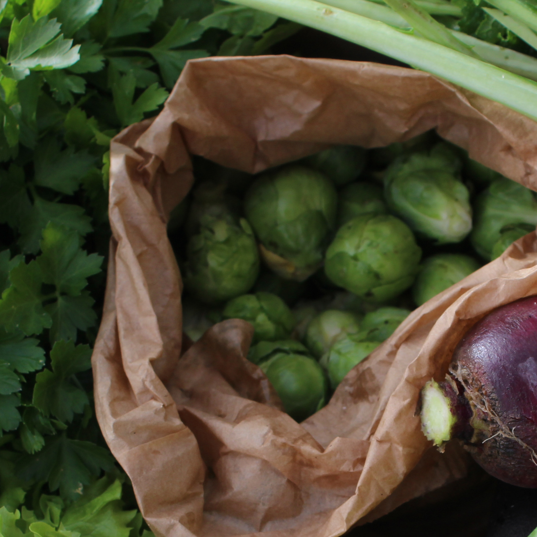 Chou de Bruxelles - 500 g