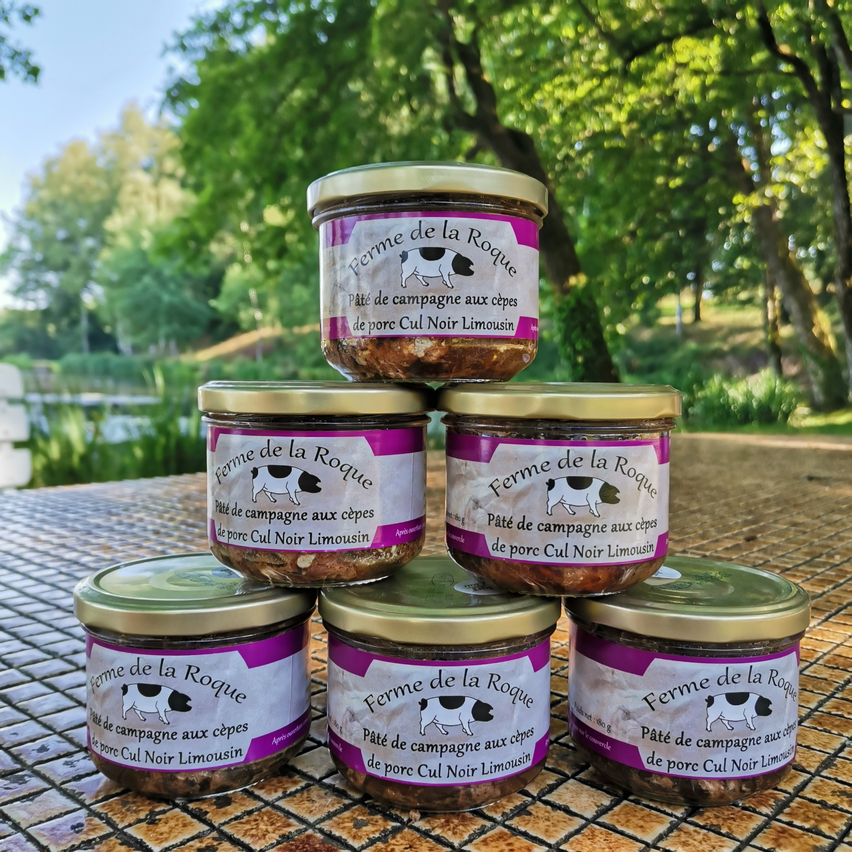 Terrine aux cêpes - 0,18kg