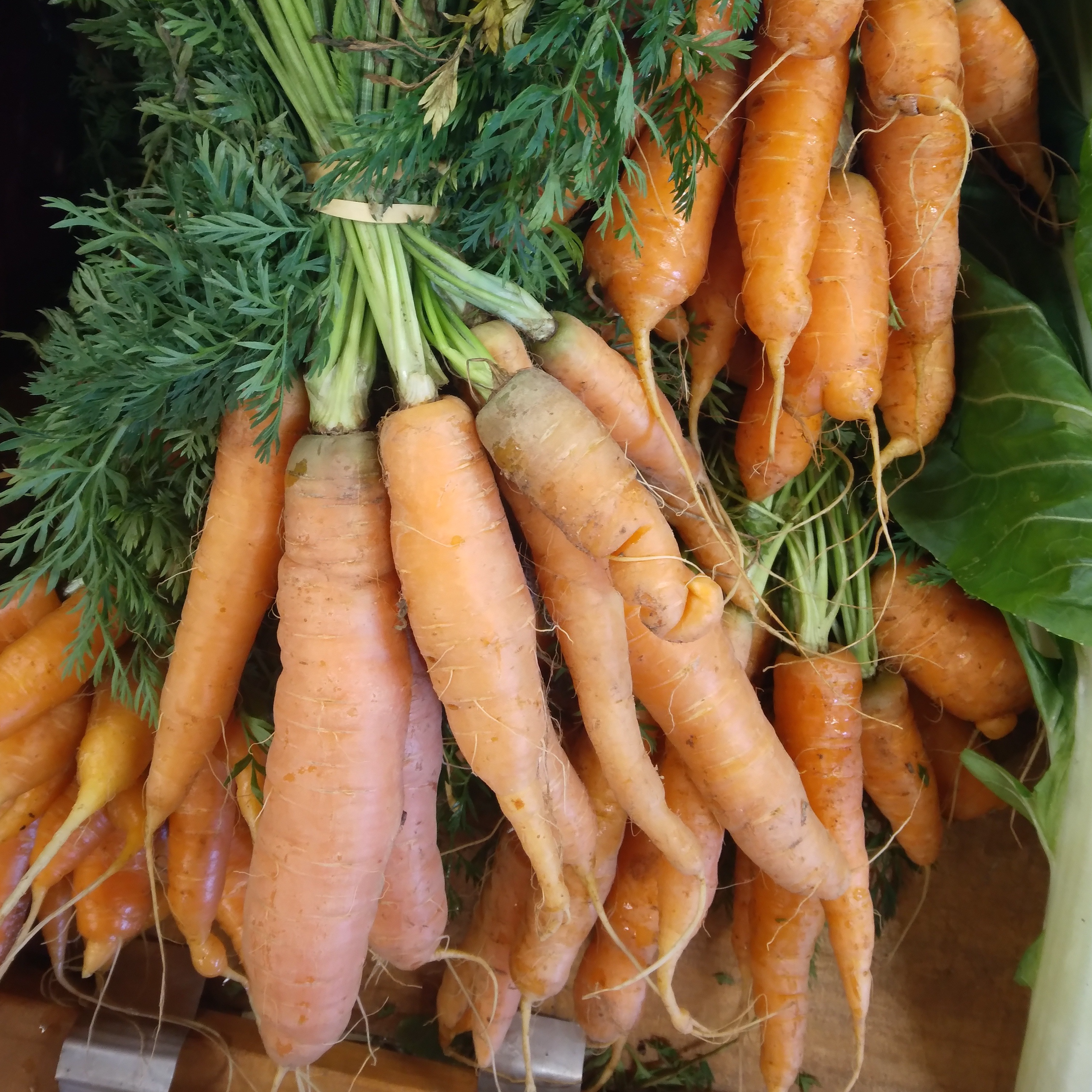 Carotte botte - 500g