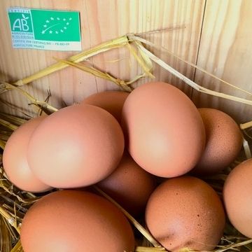 Les 12 oeufs bio extra frais - Des Poulettes de Paley