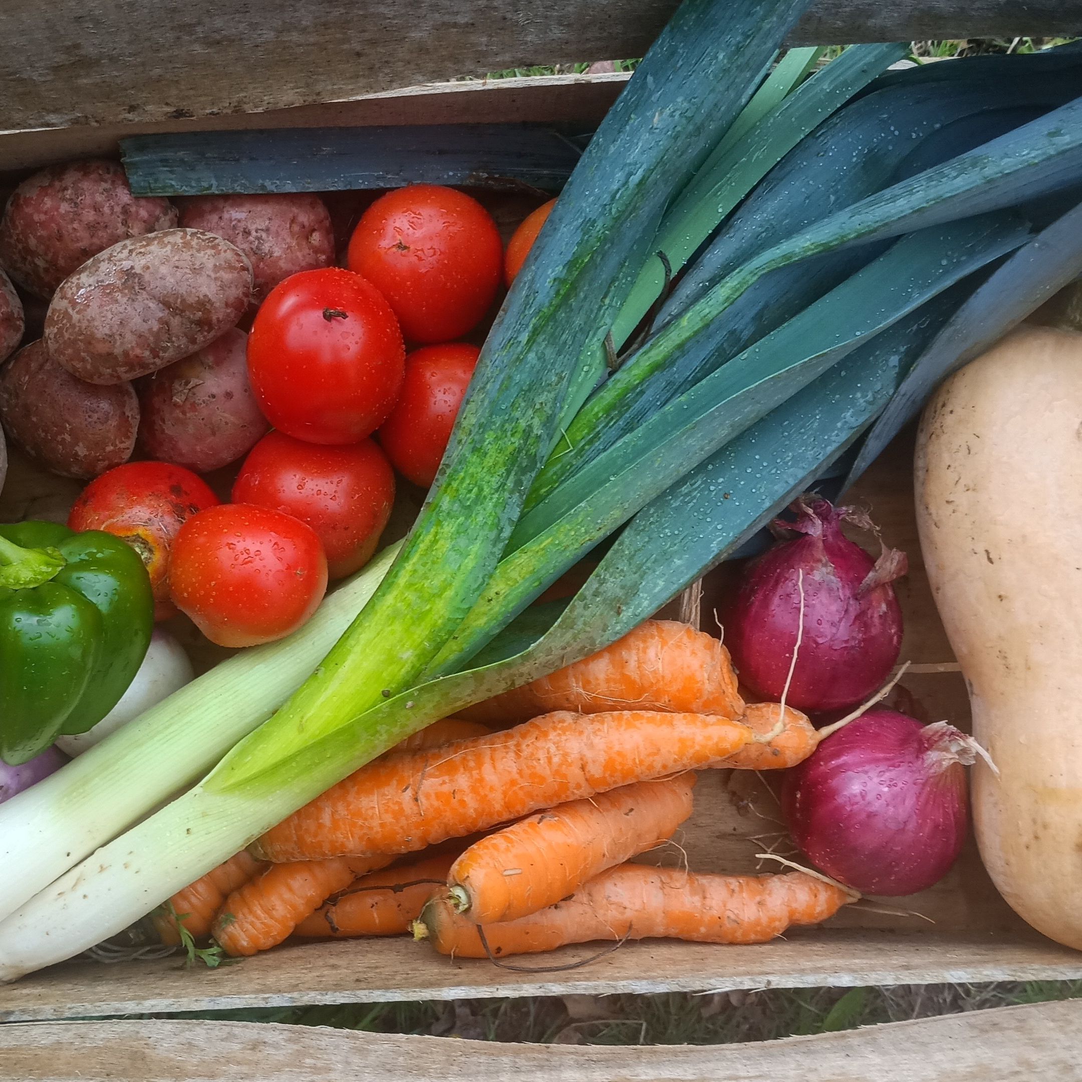 Panier de légumes à 15€