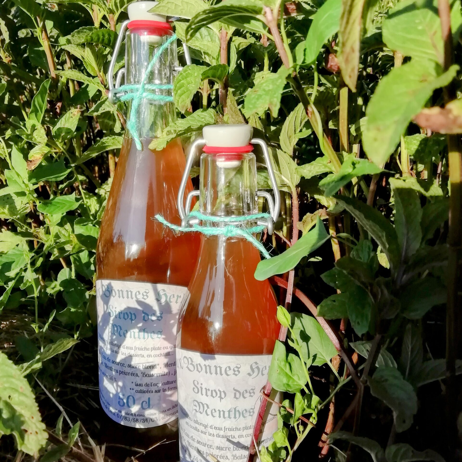 Sirop des menthes - 25cl