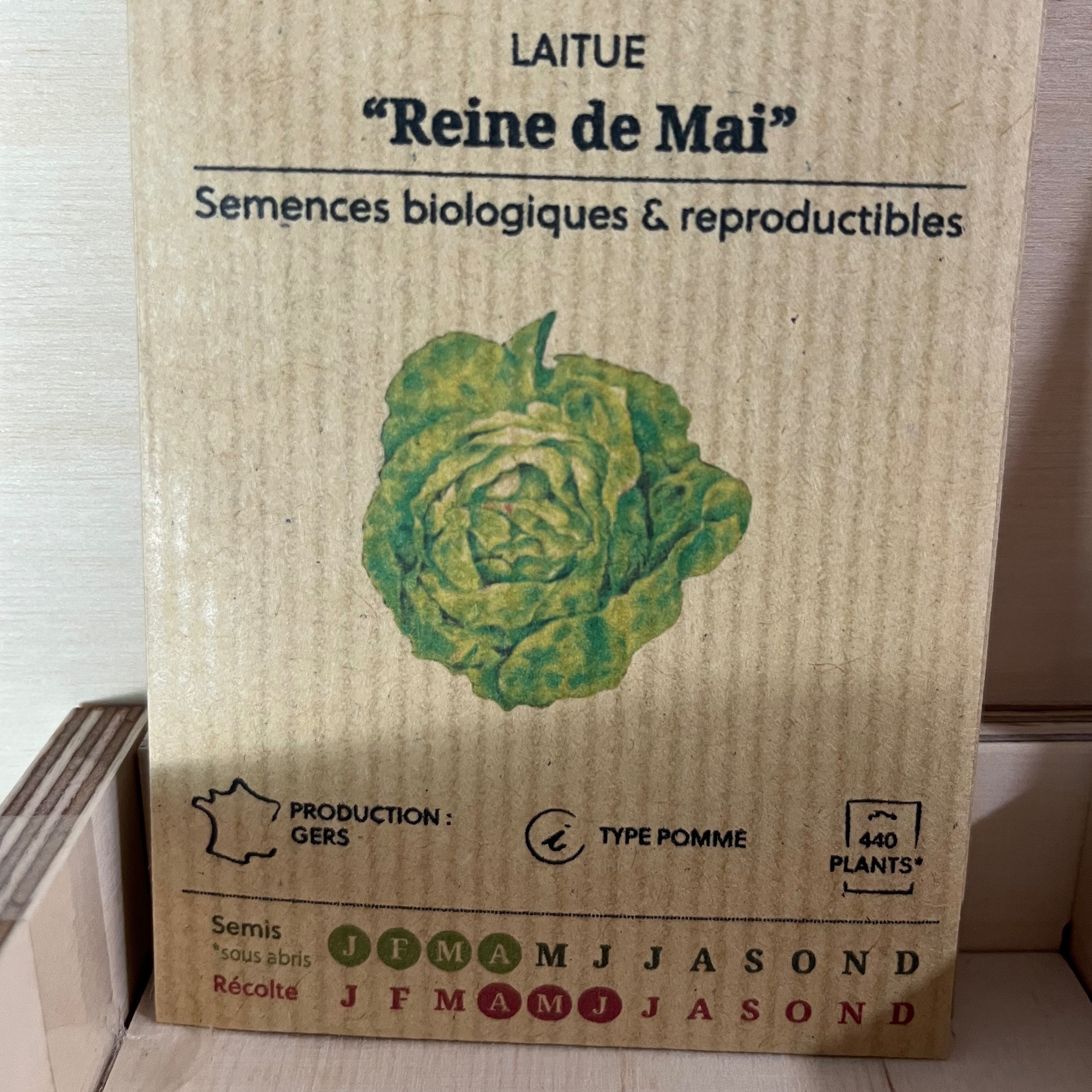 Laitue "Reine de Mai"