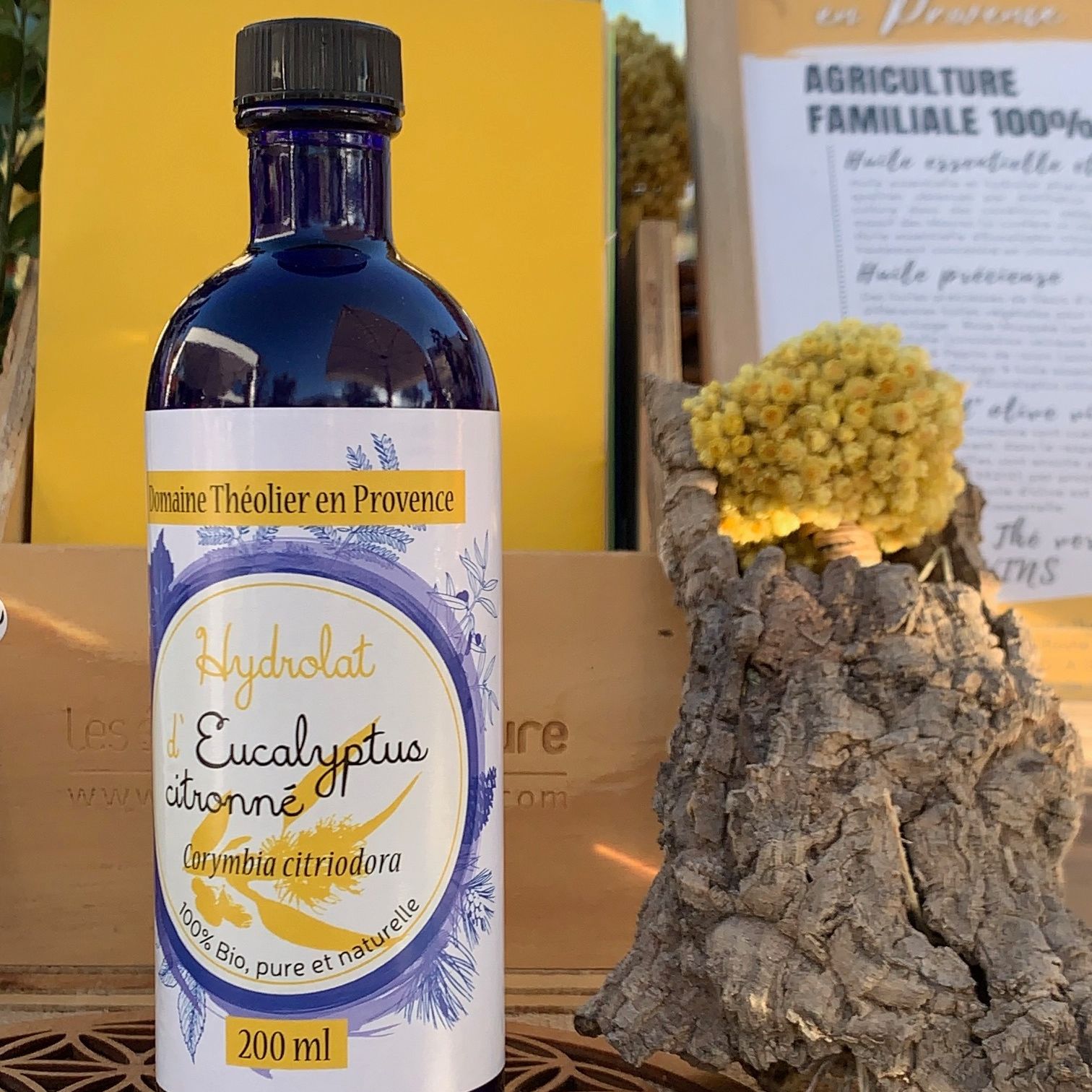 Hydrolat d'Eucalyptus citronné