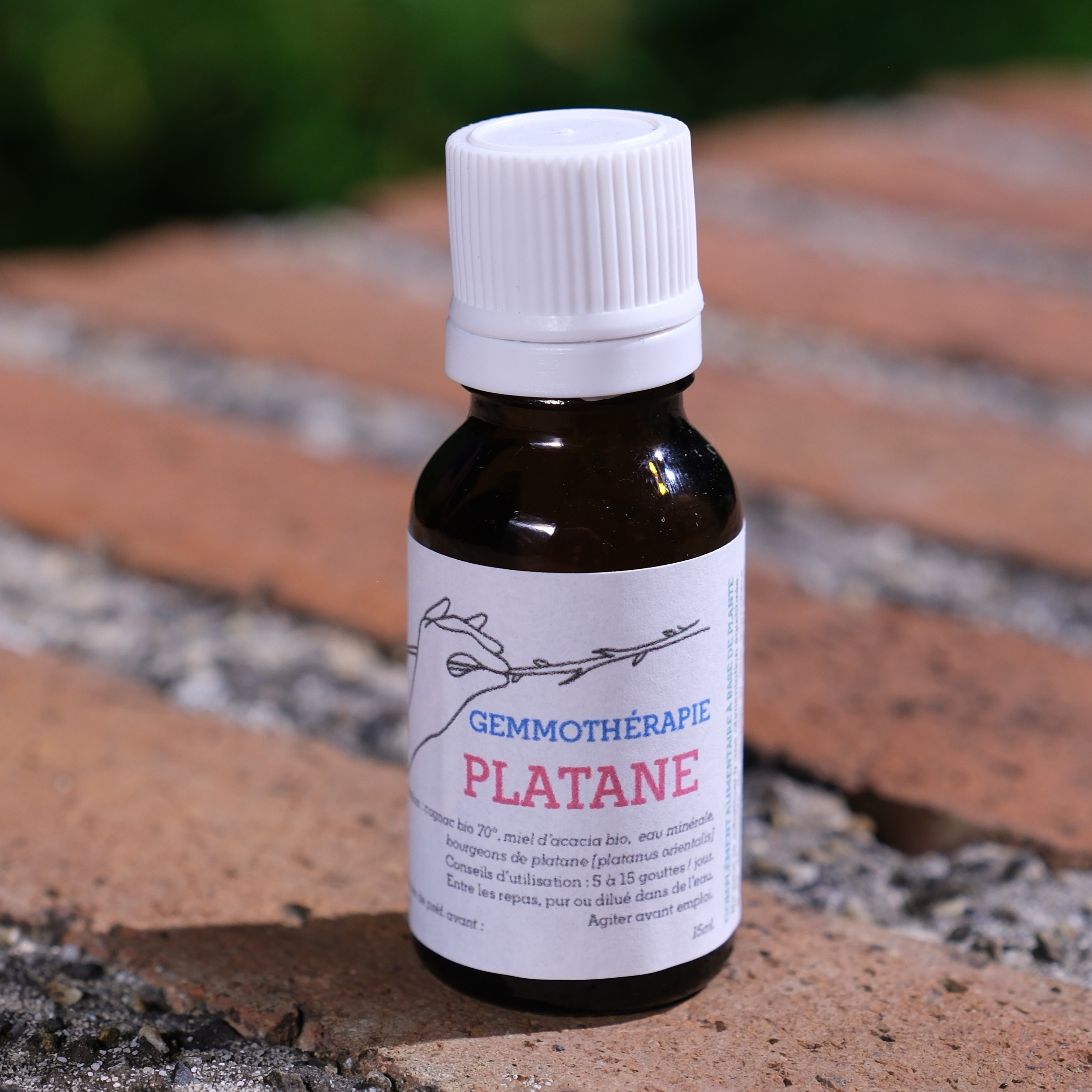 Platane • Peau & Digestion - 15ml