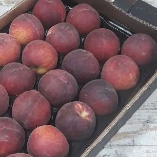 Pêches (plateau) - 4kg
