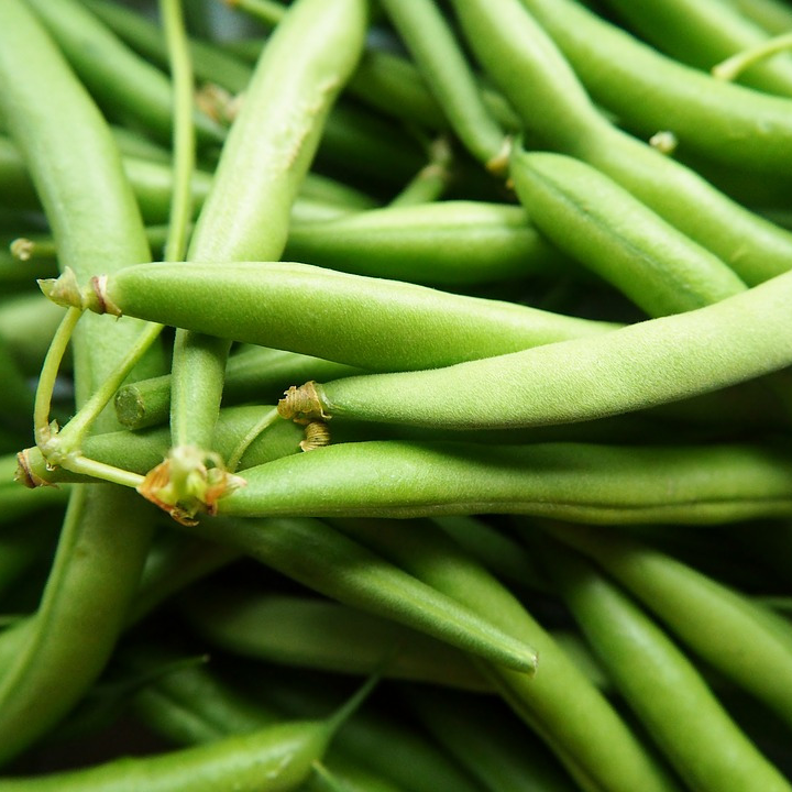 Haricots vert - 500g
