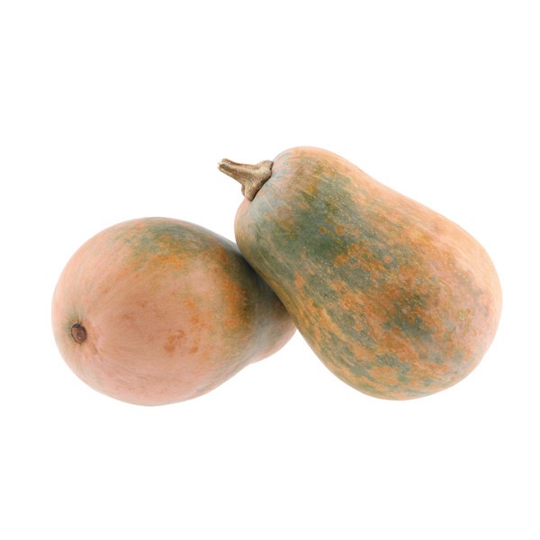 Plant Sucrine Du Berry - 150g