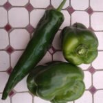 Poivrons verts 600g