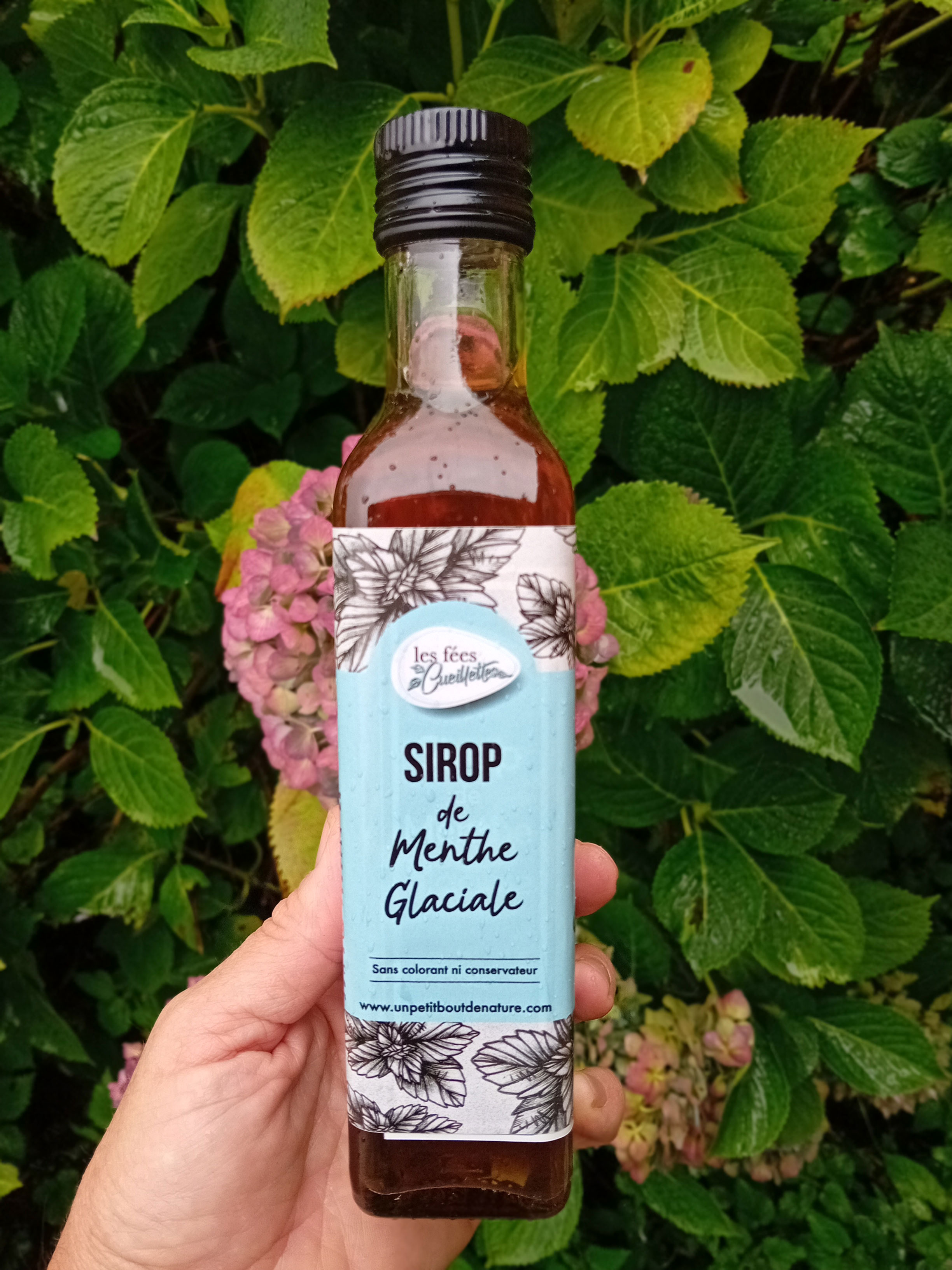 Sirop de menthe Glaciale - 250ml