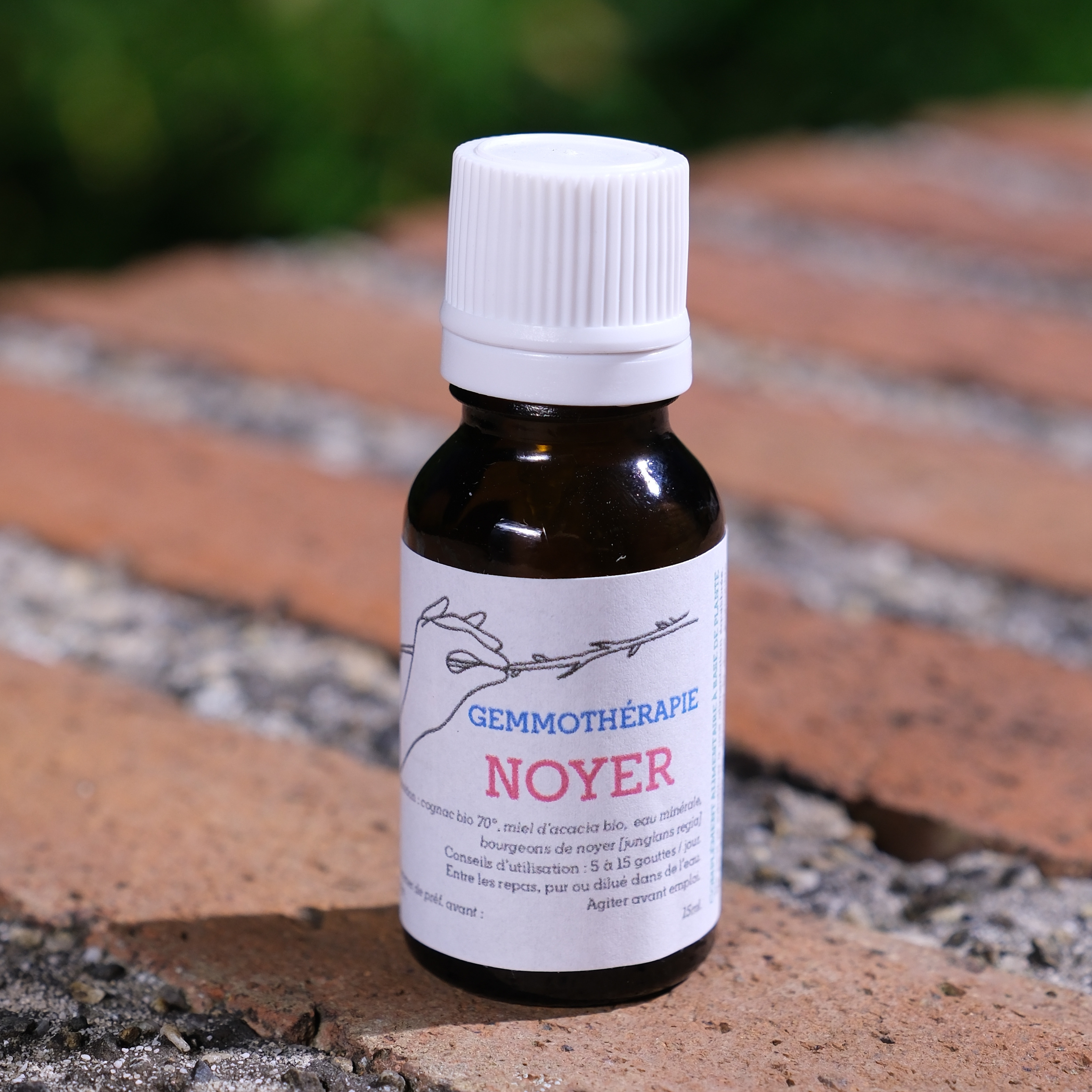 Noyer • Flore intestinale, Défenses naturelles & Peau - 15ml