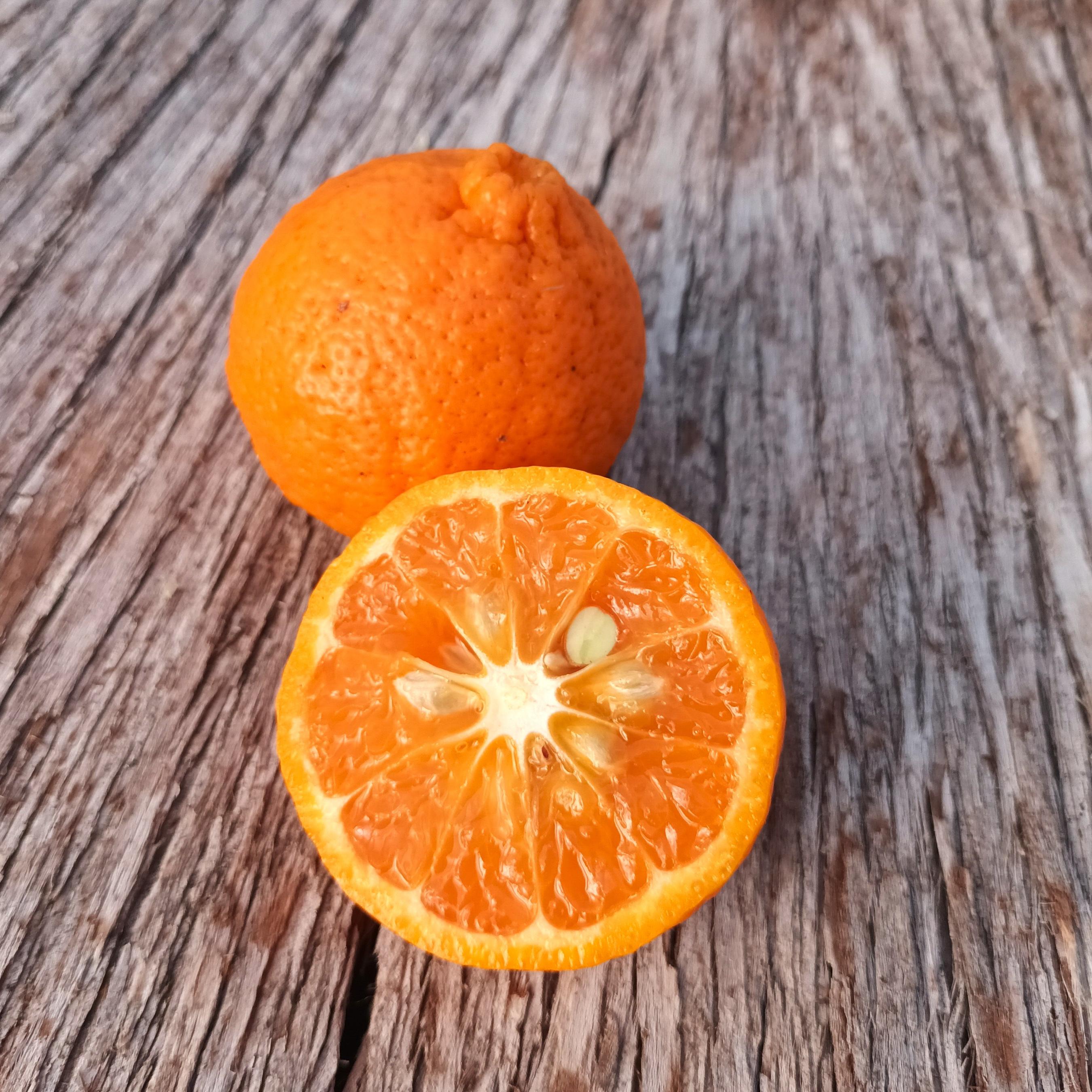 Mandarinier d'Eze - 3l