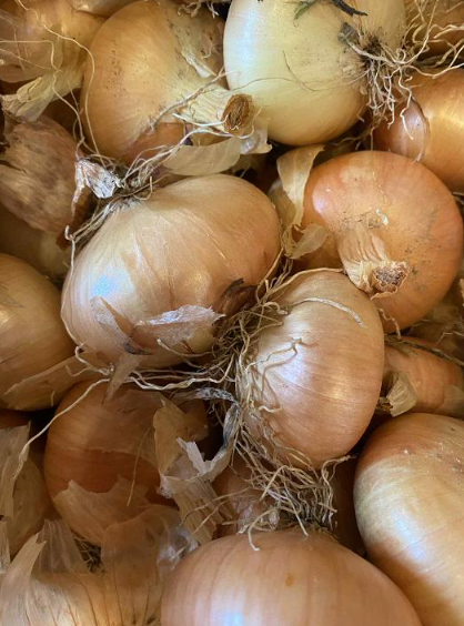 Oignons jaunes - 1kg