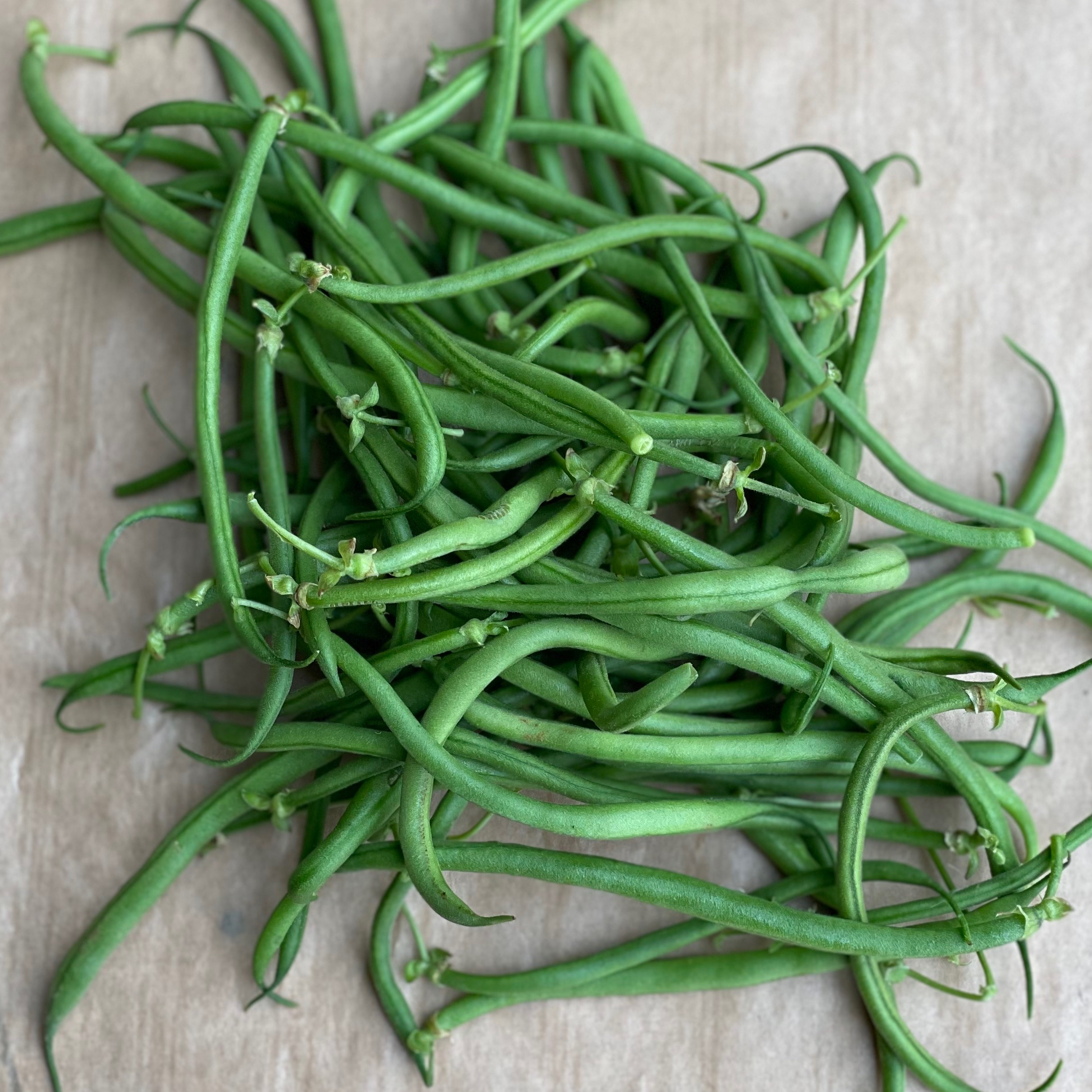 Haricot fin 1kg - 1kg