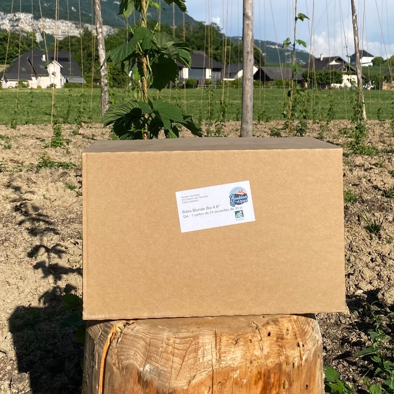 Carton de 24 Bières Blonde Bio Houblon des Alpes 33 Cl 4.8% Vol.