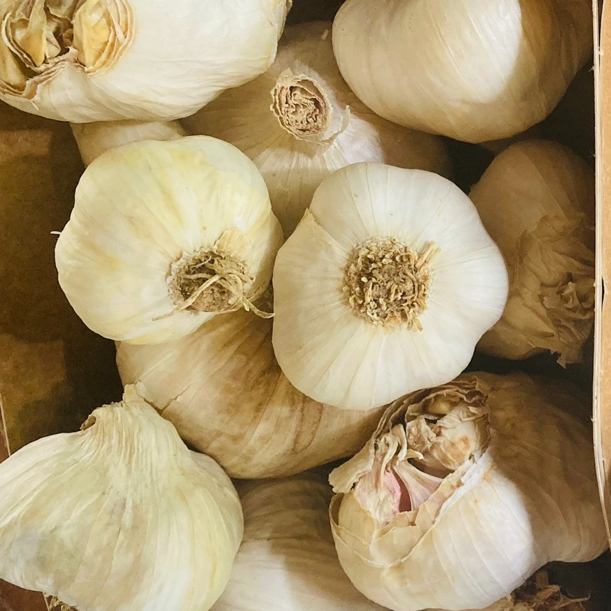 Ail blanc déclassé