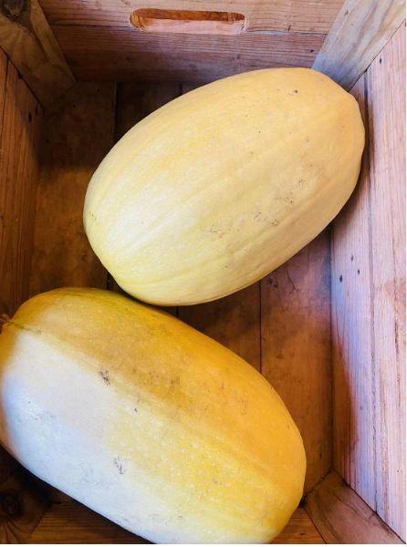 Courge Spaghetti - 2kg