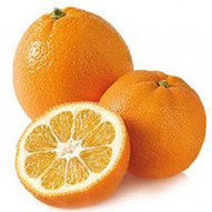 Orange amère Bio de Corse