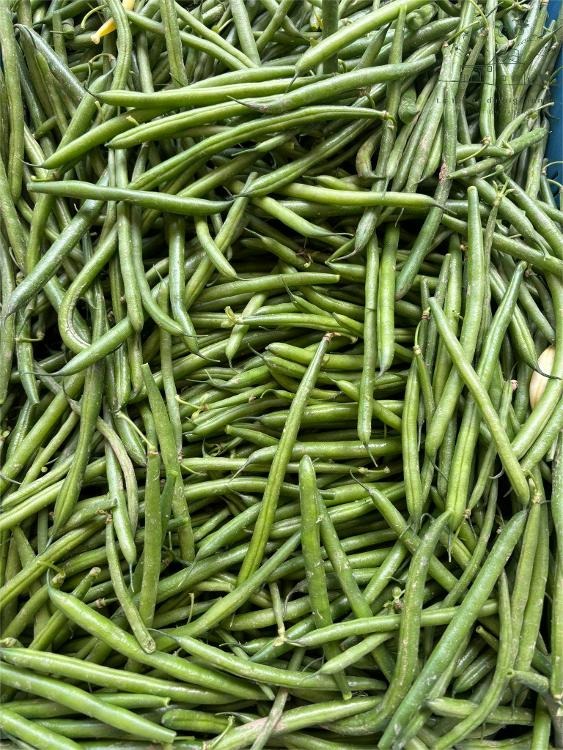 Haricots verts