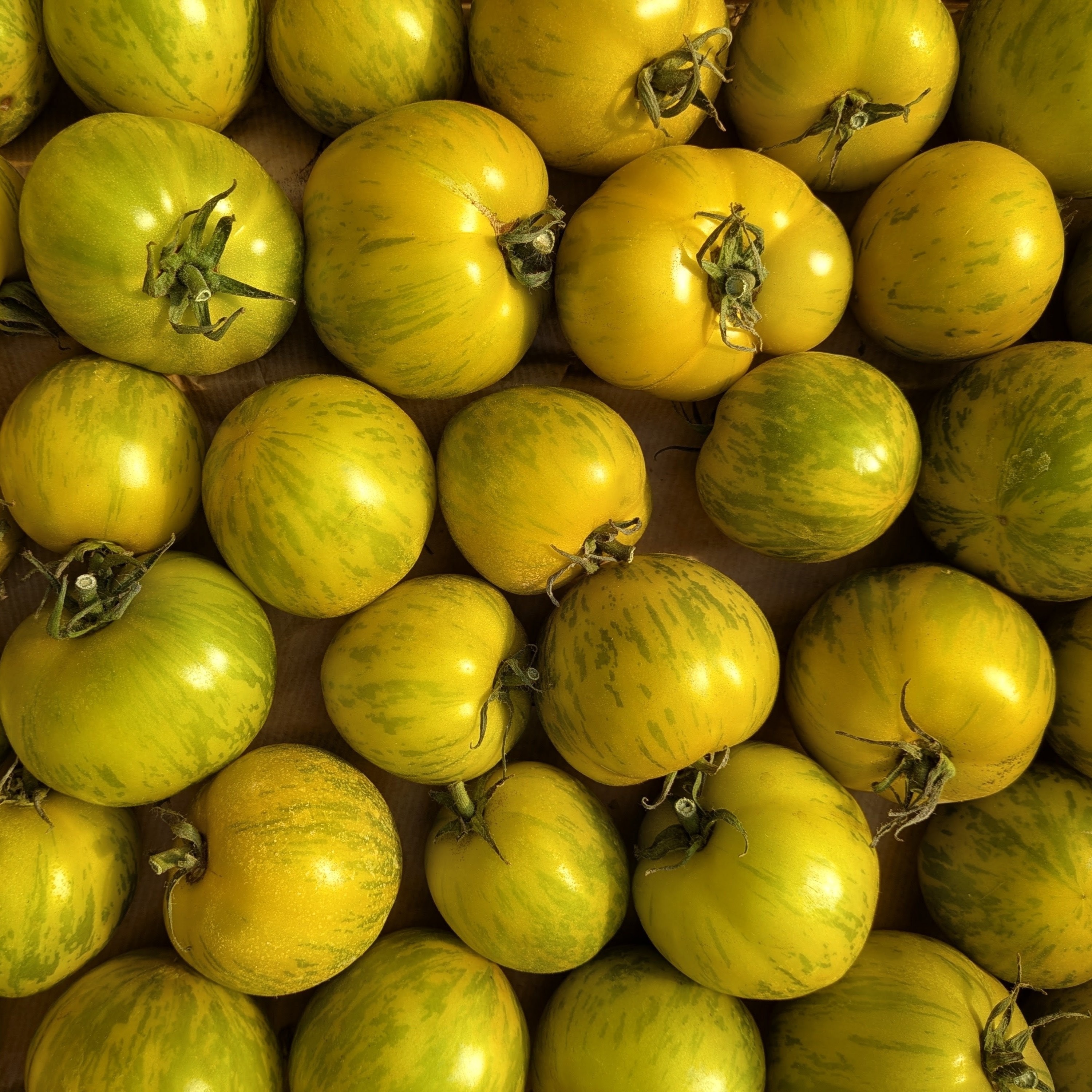 Tomate Green Zebra - Kg - 1kg