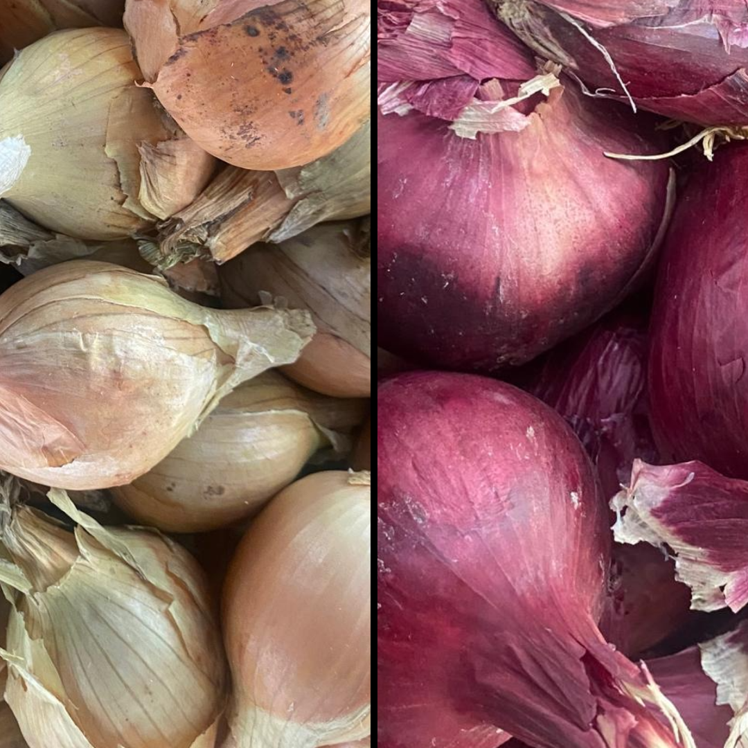 Mix d'Oignons - 600g