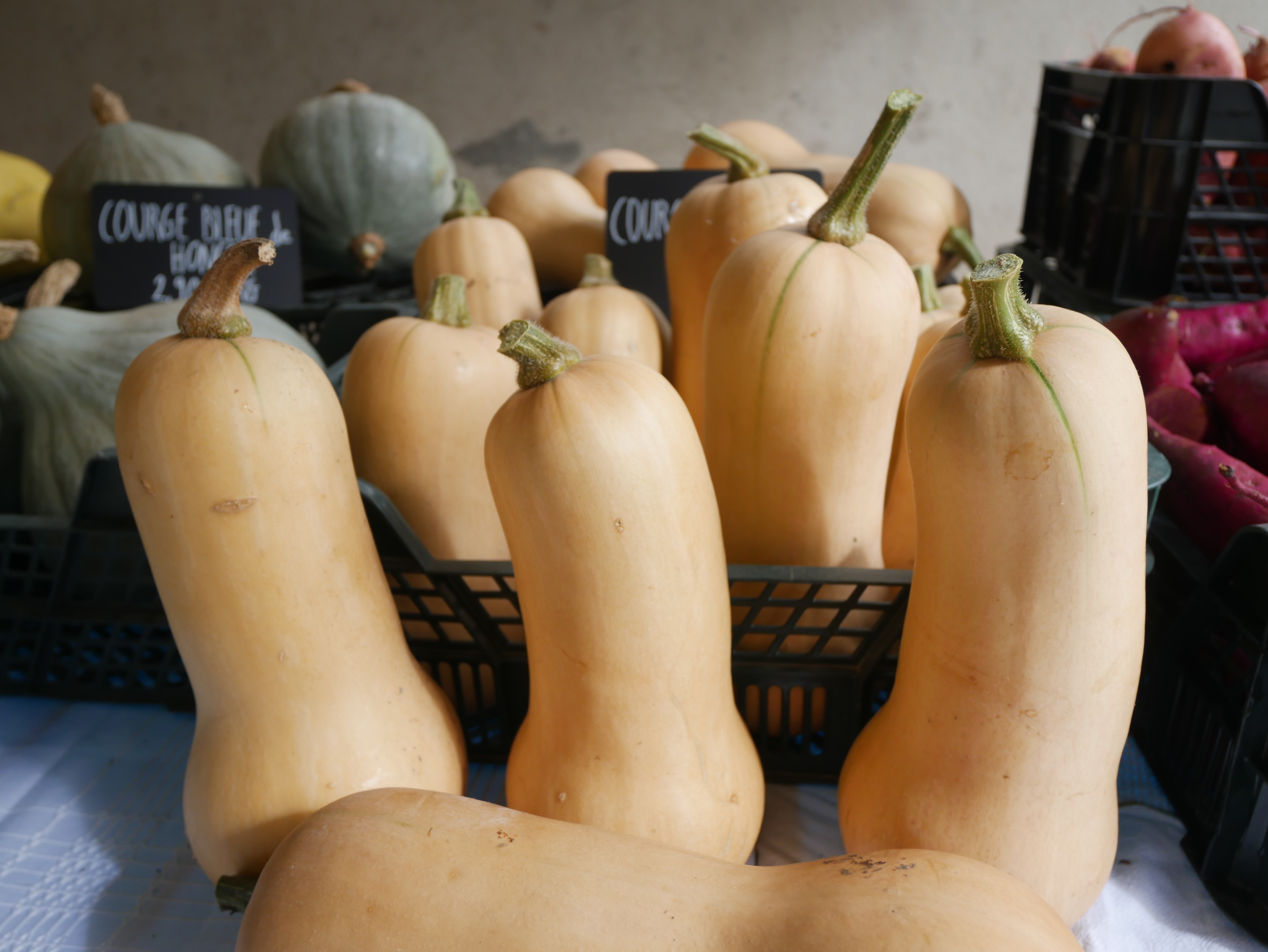 Courge butternut - 1kg