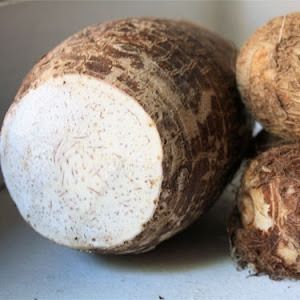 Songe (Taro)