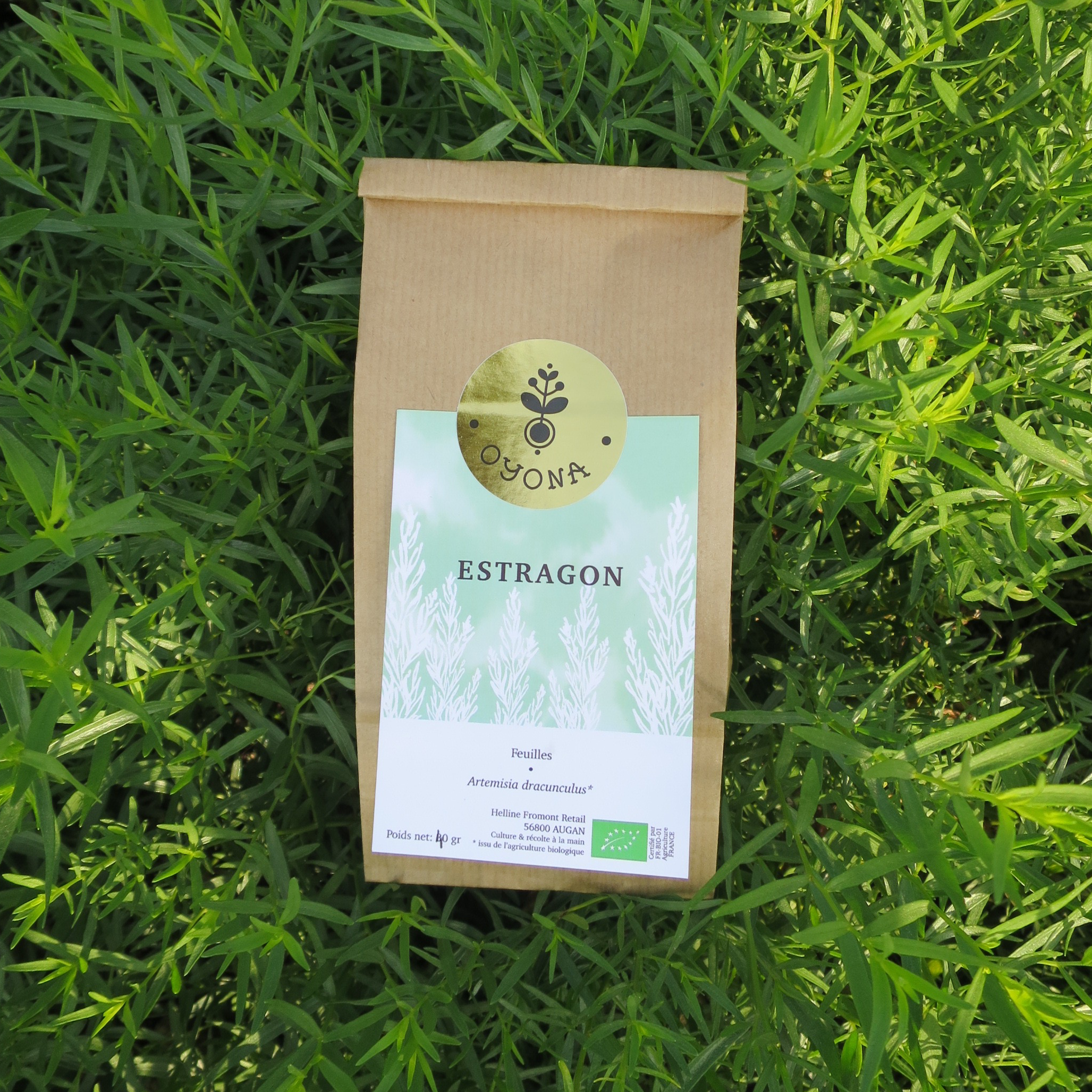 Estragon - 40g