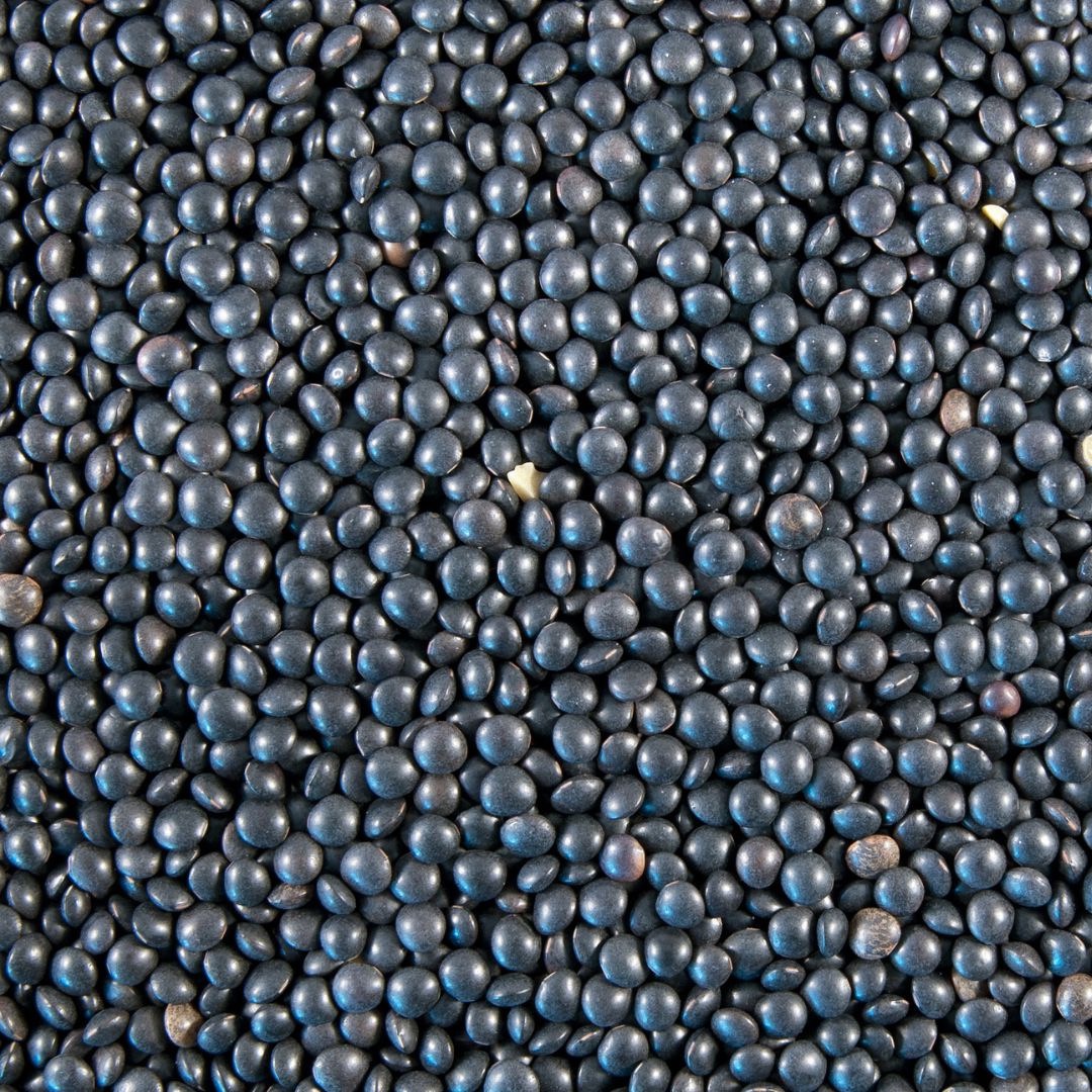 Lentilles beluga - 500g