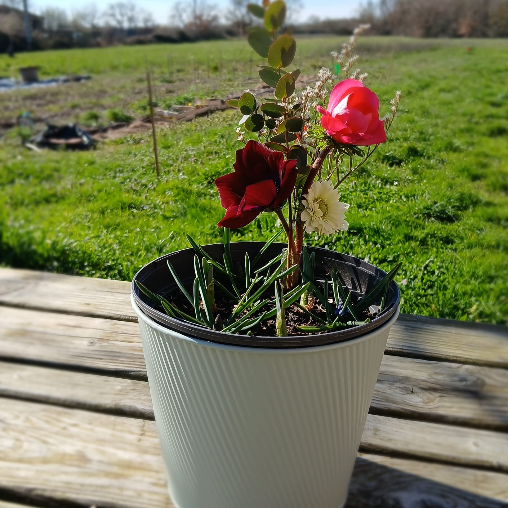 Potée de fleurs de printemps (grande, cache pot zinc)
