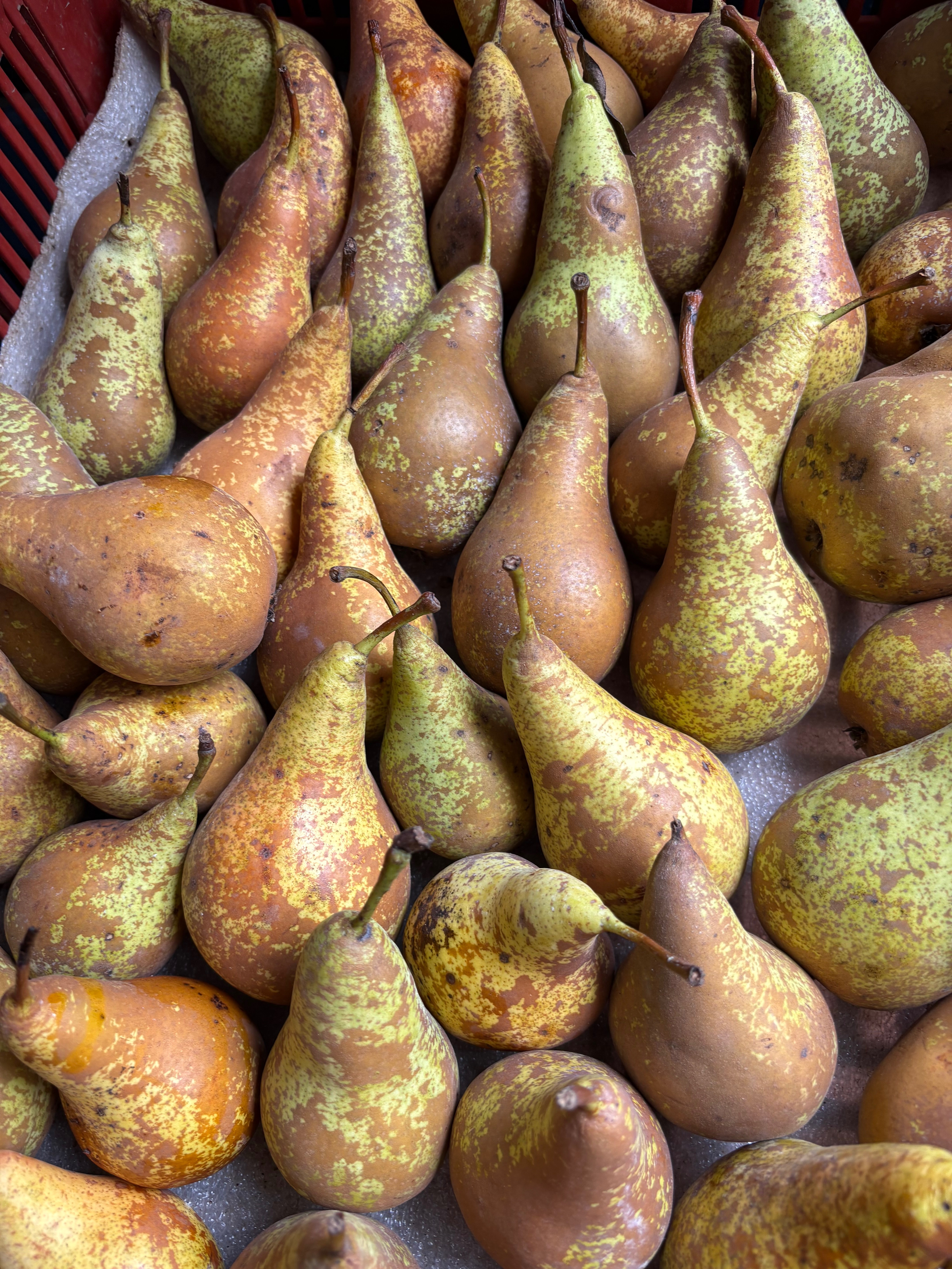 Poire conférence - 1kg