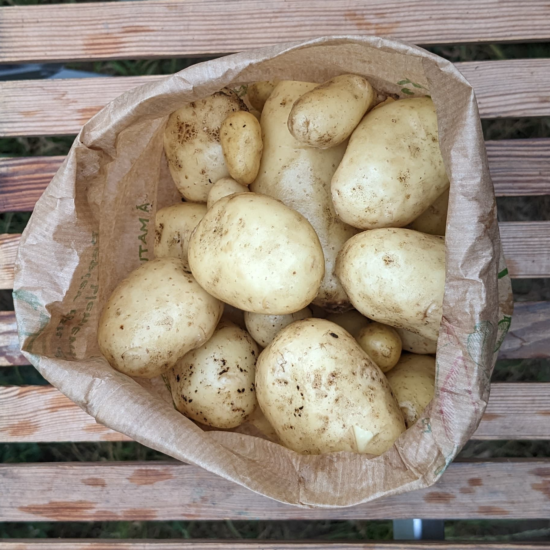 Sachet de pommes de terre nouvelles (500g) - 500g
