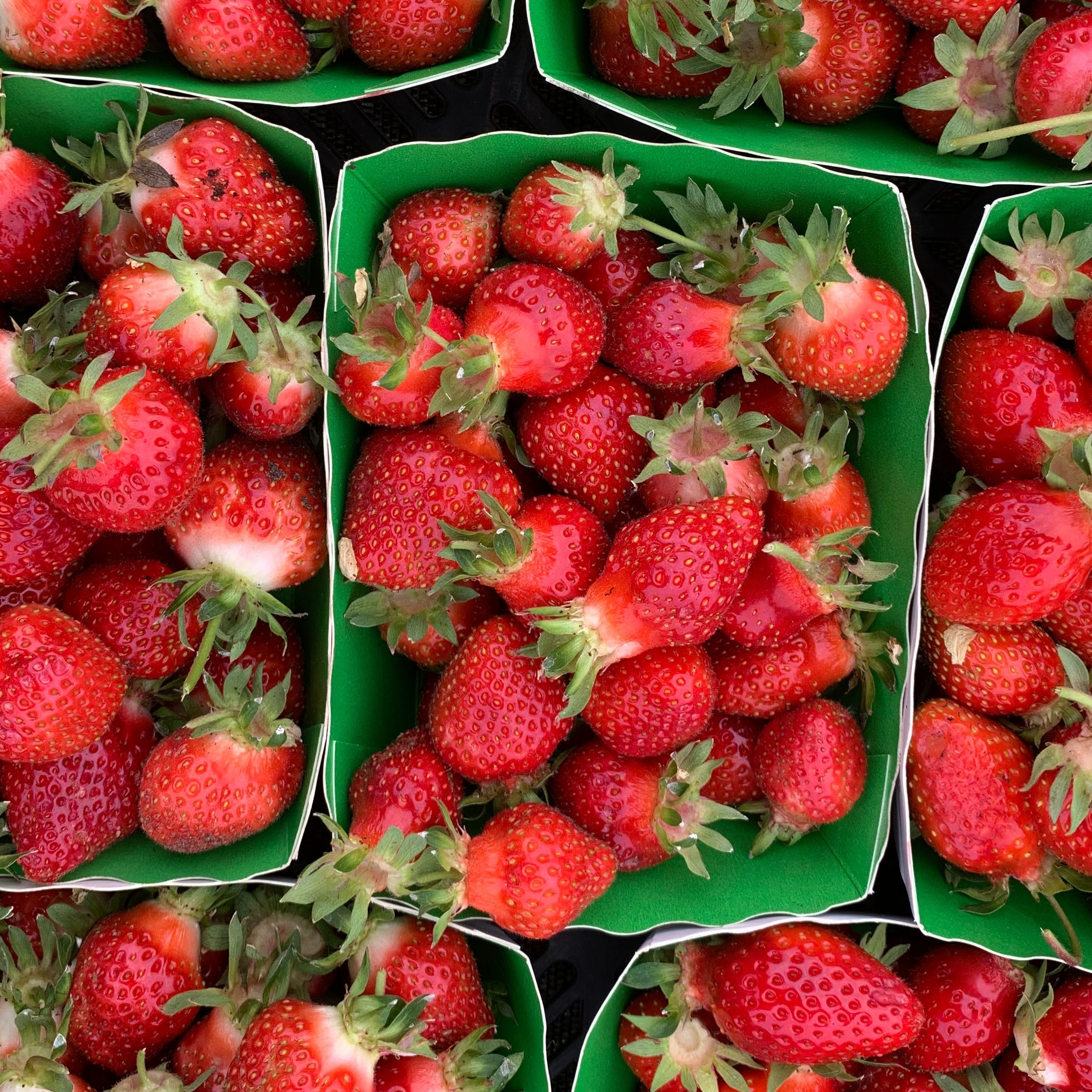 Fraise Bio - 250g