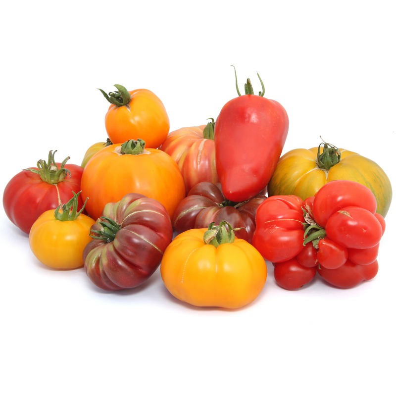 Tomate ancienne