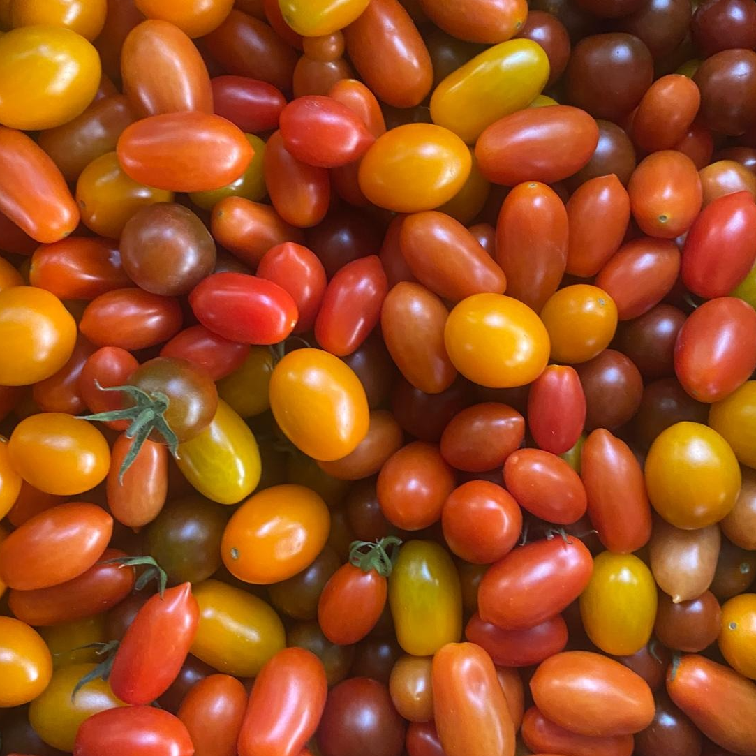 Tomate cerise multicolore - 250g