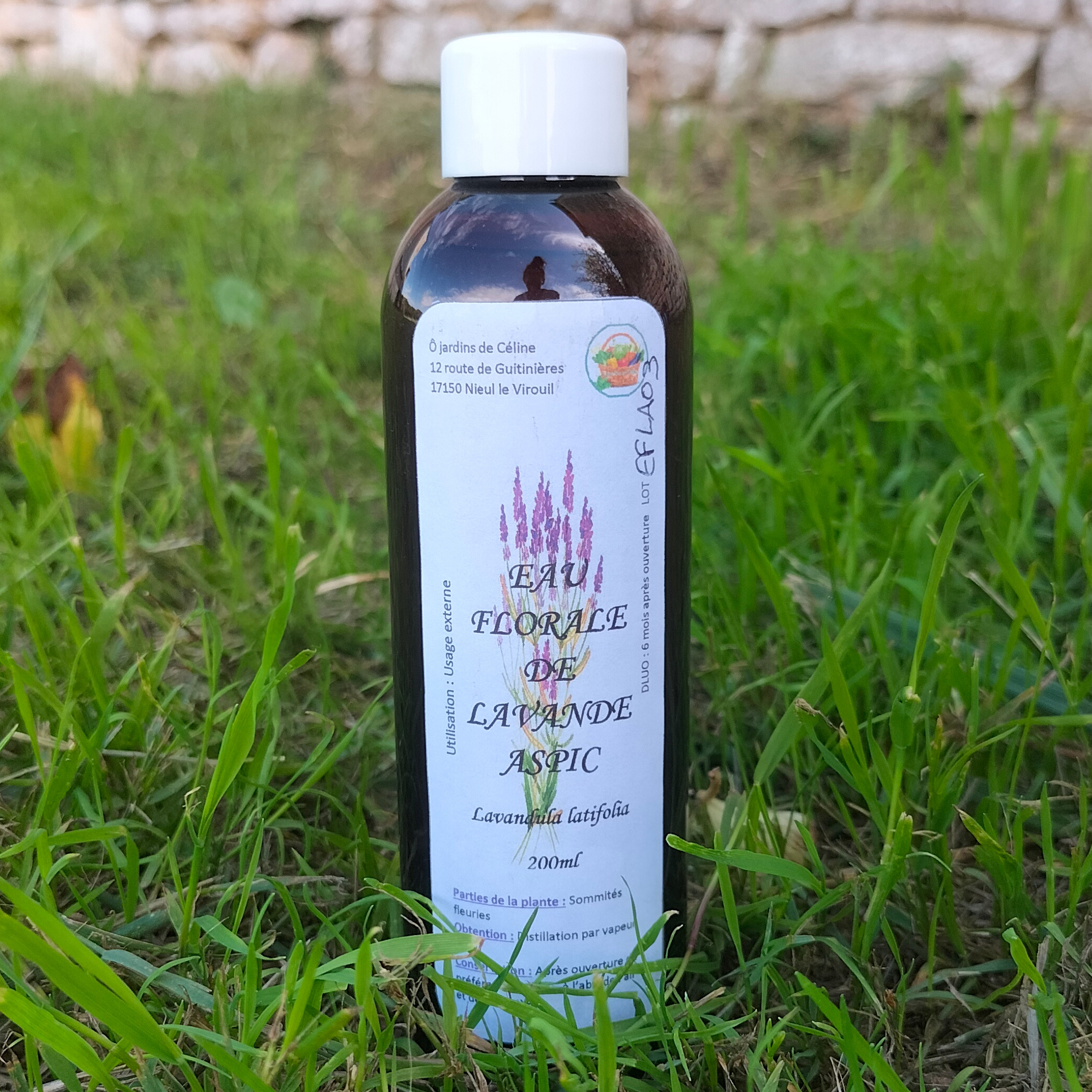 Eau floral de lavande Aspic - 200ml