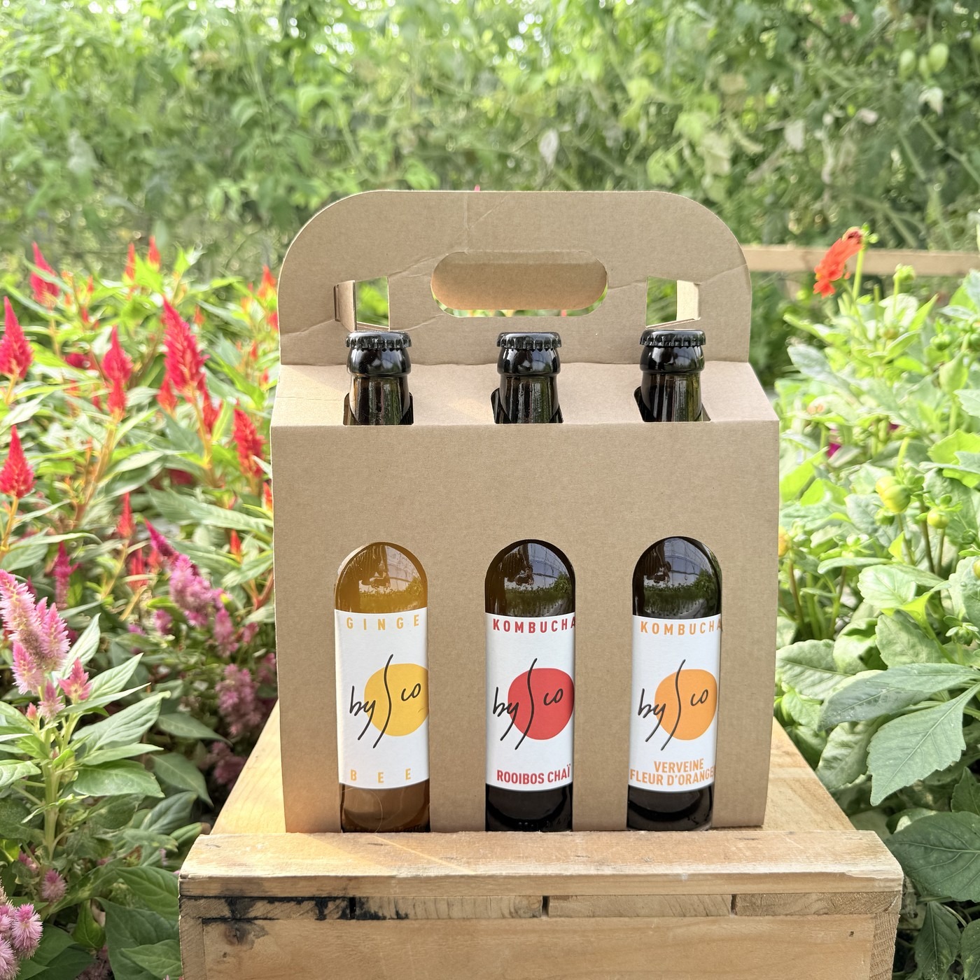 Coffret Kombucha Bio - 6 bouteilles 33cl (mélange 3 parfums)